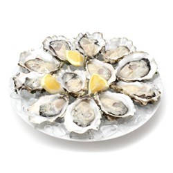 OYSTERS 1/2 SHELL LARGE NZ 10 DOZEN # 03688 TOPSAIL