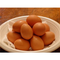 EGGS LARGE CAGE 50GM 15 DOZEN # 11 PURE FOOD EGGS