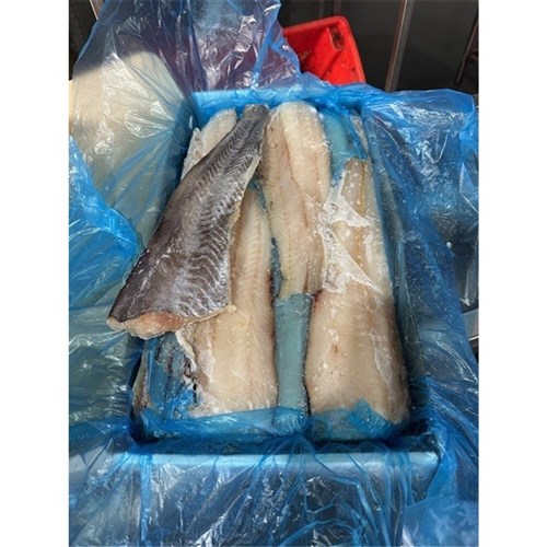 BLUE GRENADIER FILLETS SKIN ON AUST 10KG # BGLFLTSON MAGLOCHLANS